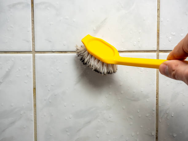 Castle Rock, WA Mold Removal Company