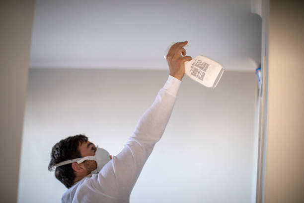 Best Affordable Mold Removal  in Castle Rock, WA