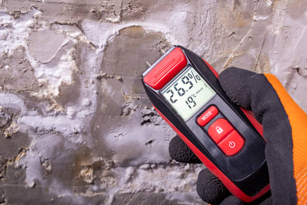 Crawl Space Mold Removal in Castle Rock, WA