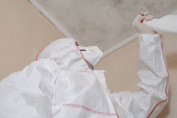 Best Toxic Mold Removal  in Castle Rock, WA