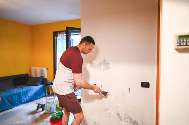 Best Mold Testing  in Castle Rock, WA