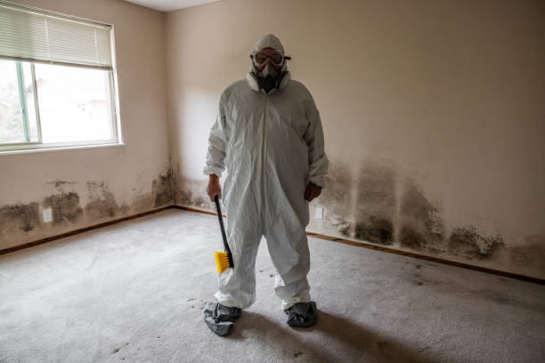 Best Crawl Space Mold Removal  in Castle Rock, WA