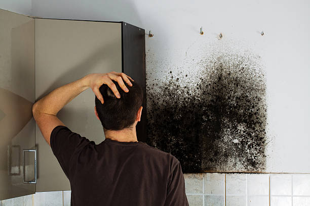 Best Water Damage Restoration  in Castle Rock, WA